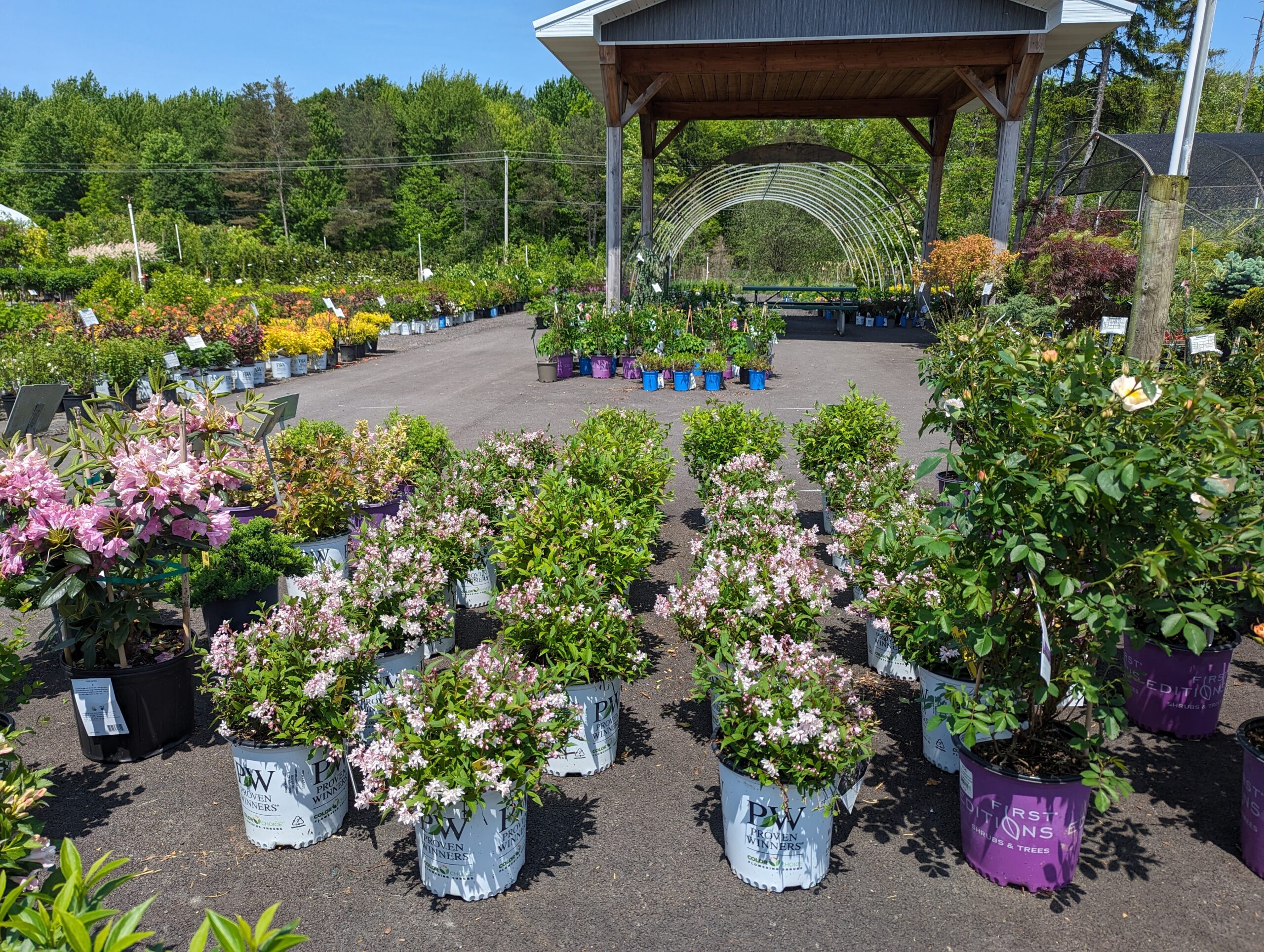 Turnbull container yard & garden center